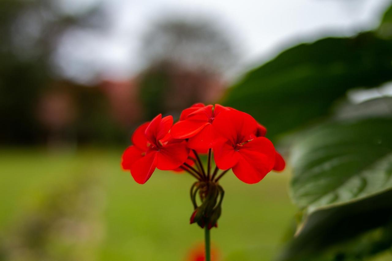 Pousada Rio Vermelho Florianopolis Luaran gambar